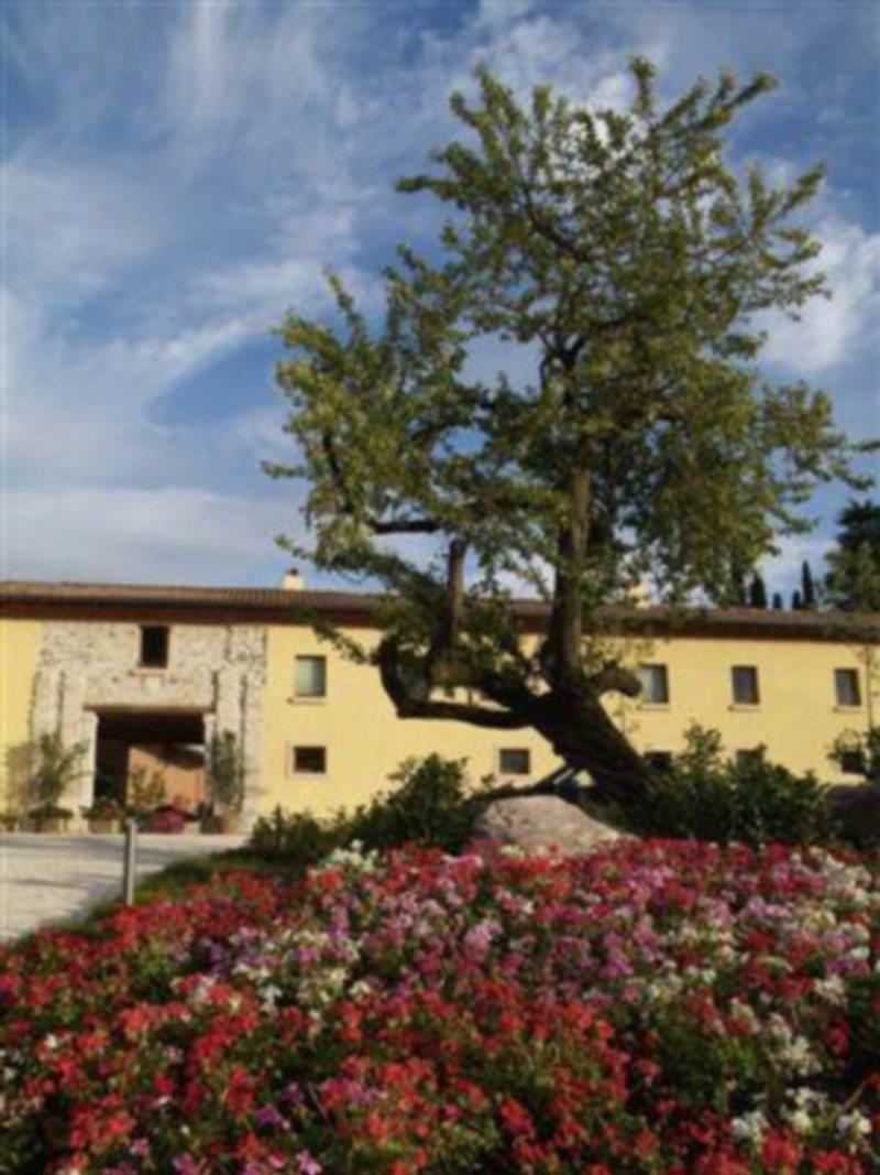 Relais Corte Cavalli Ponti sul Mincio Esterno foto